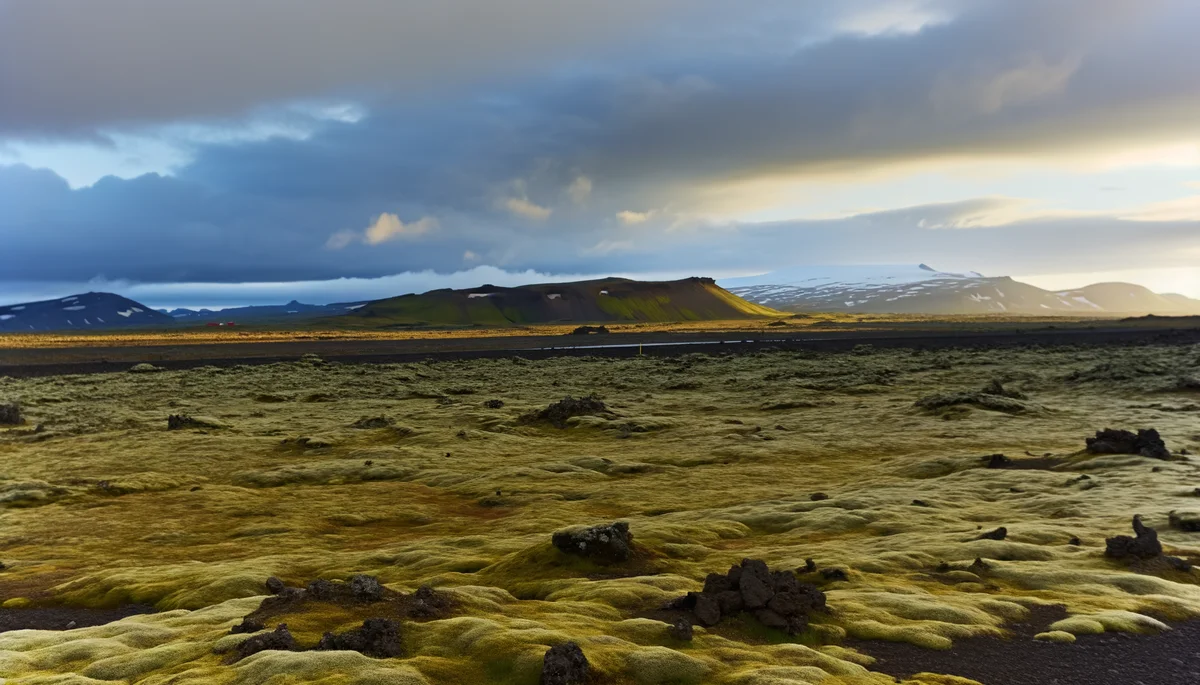 Mitternachtssonne über Islands Lavafeldern