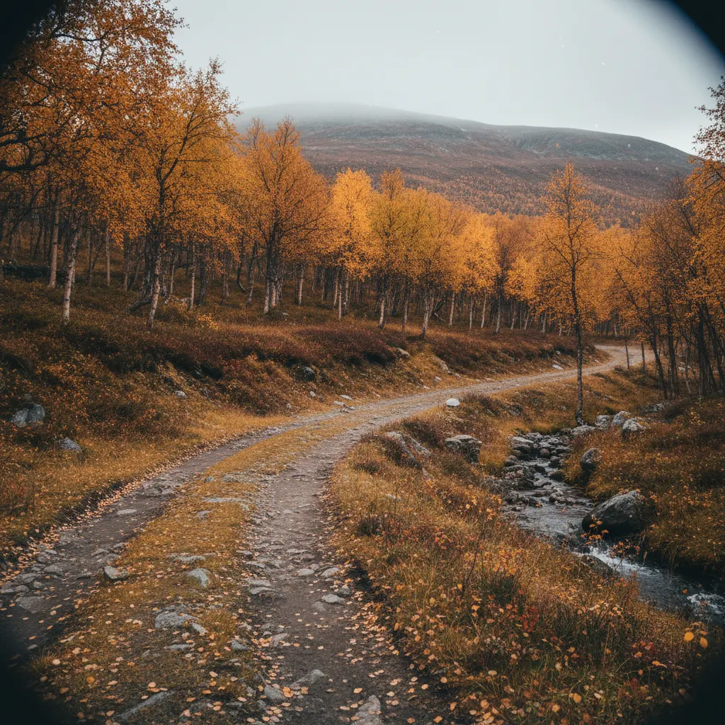 Herbstfärbung in Finnisch-Lappland mit roten und goldenen Farbtönen