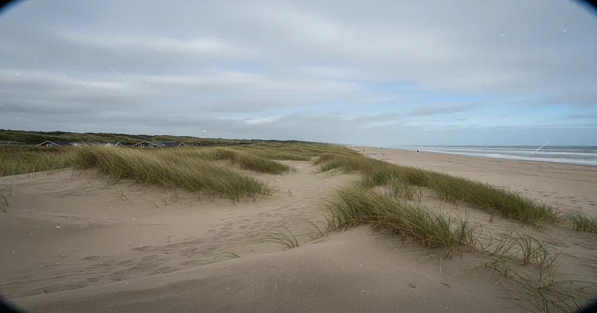 Ferienhaus in Henne Strand