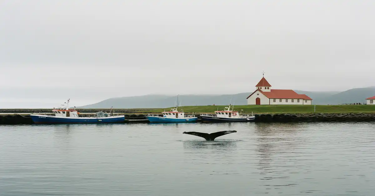 Ferienhaus in Húsavík