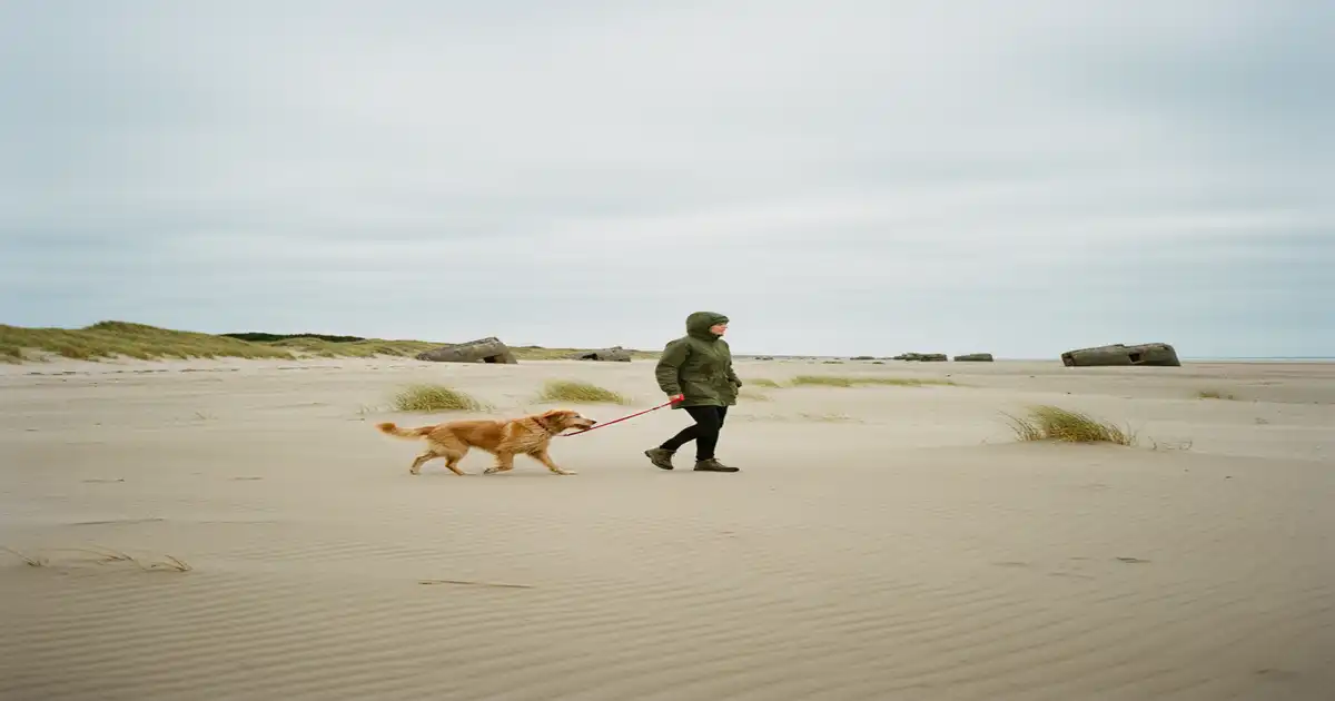 Ferienhaus Nordjütland mit Hund