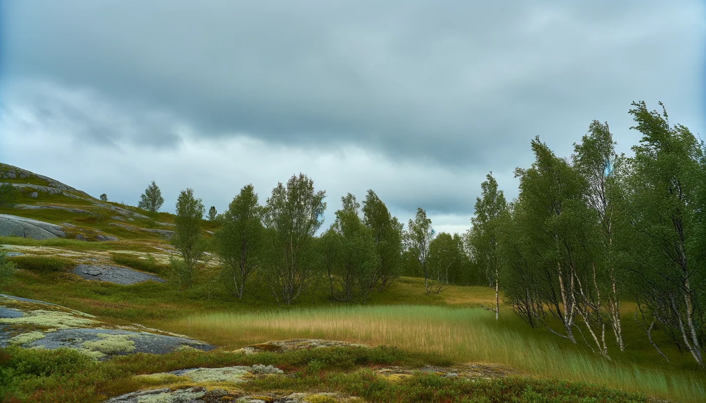 Skandinavien Karte