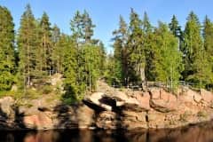 Ancient forest in Imatra, Finland