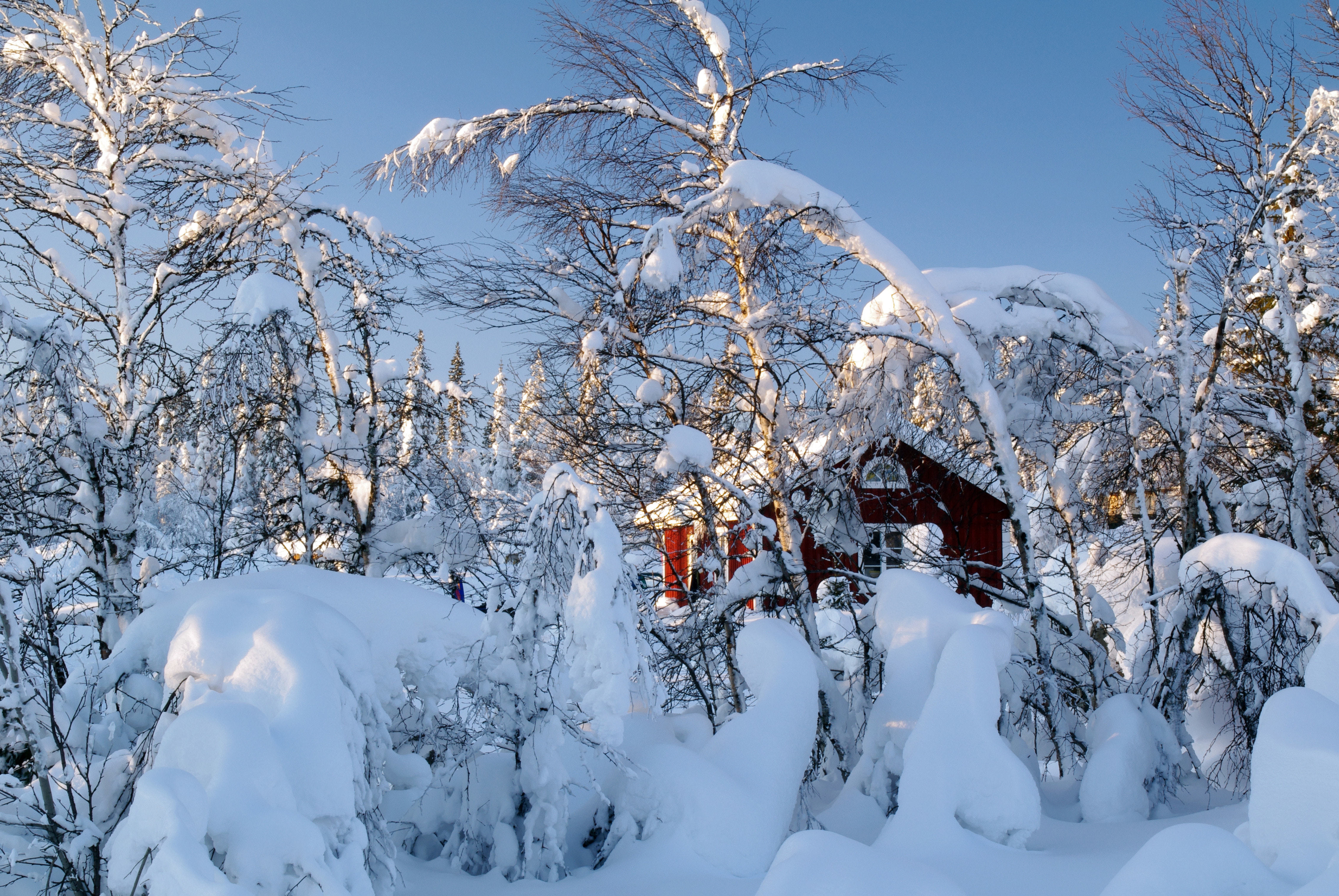 schwedisch-lappland-winter-nordschweden-590