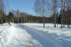 winter-662