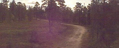 Webcam Finnland
