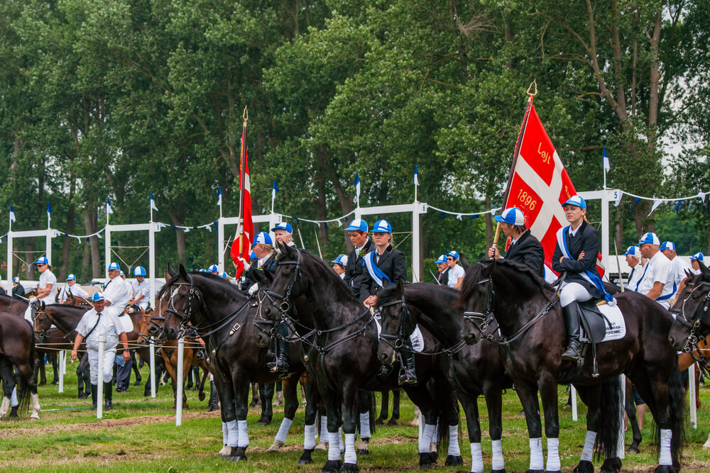 Sønderborg Ringreiten, Dänemark