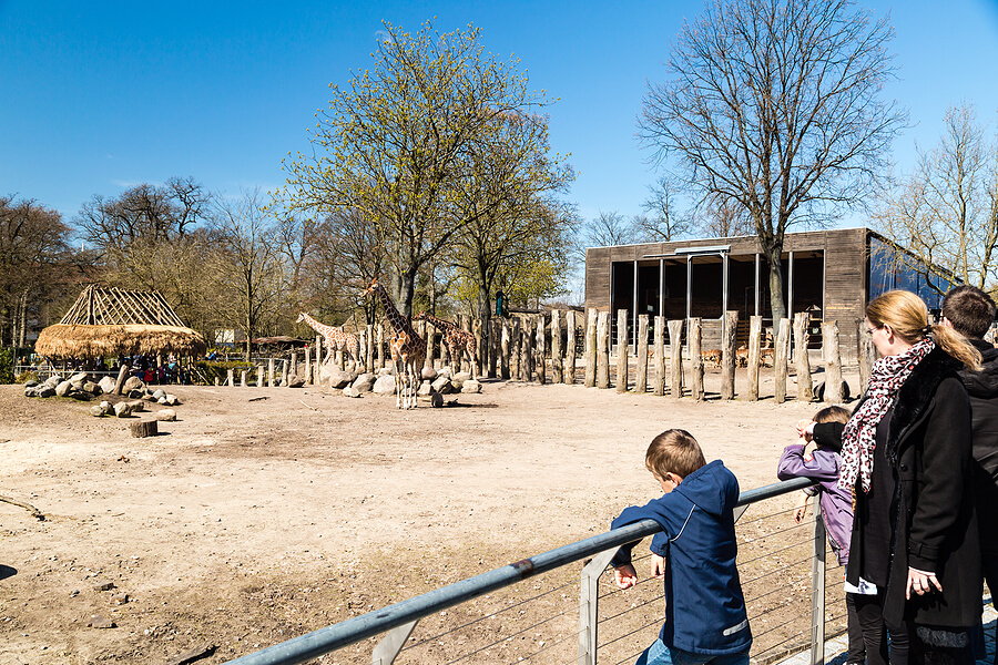 Kopenhagener Zoo, Dänemark