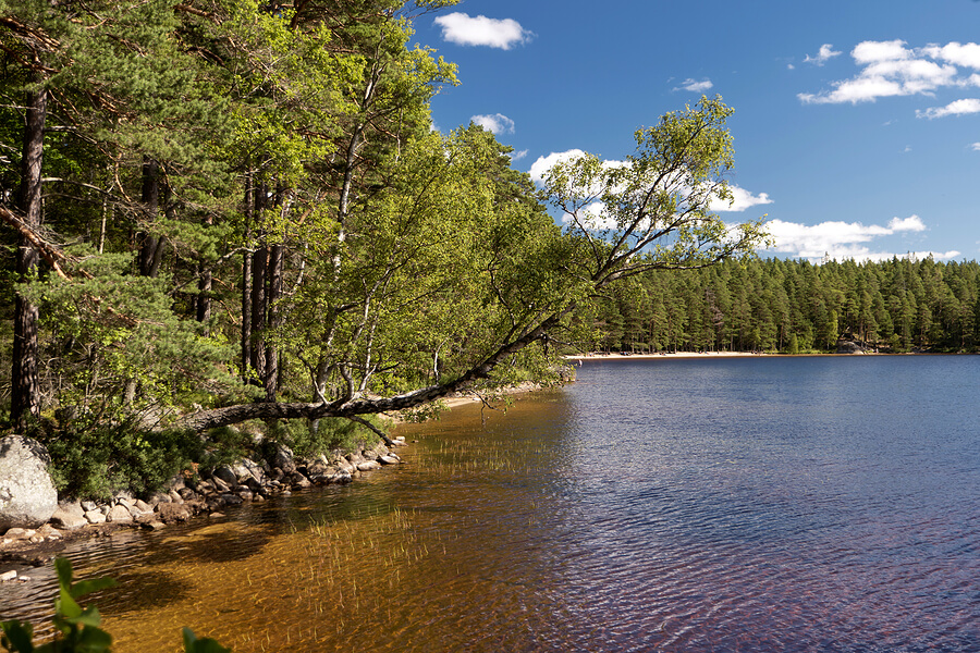 Tiveden-Nationalpark in Schweden