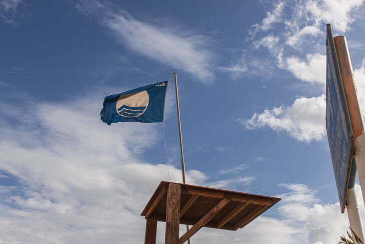blaue flagge strand dänemark hund
